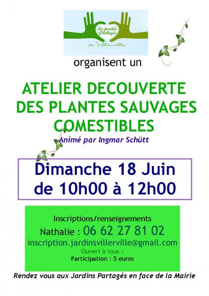 Plantessauvage18juin