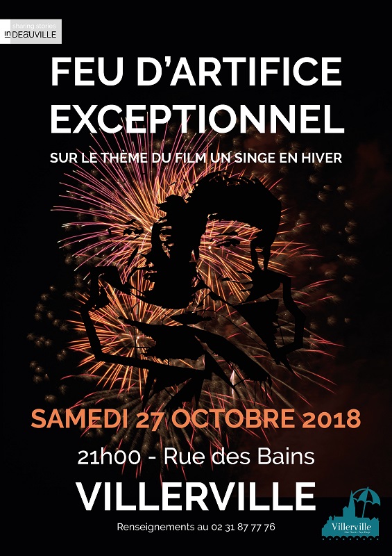 Affiche feuseh2018bd