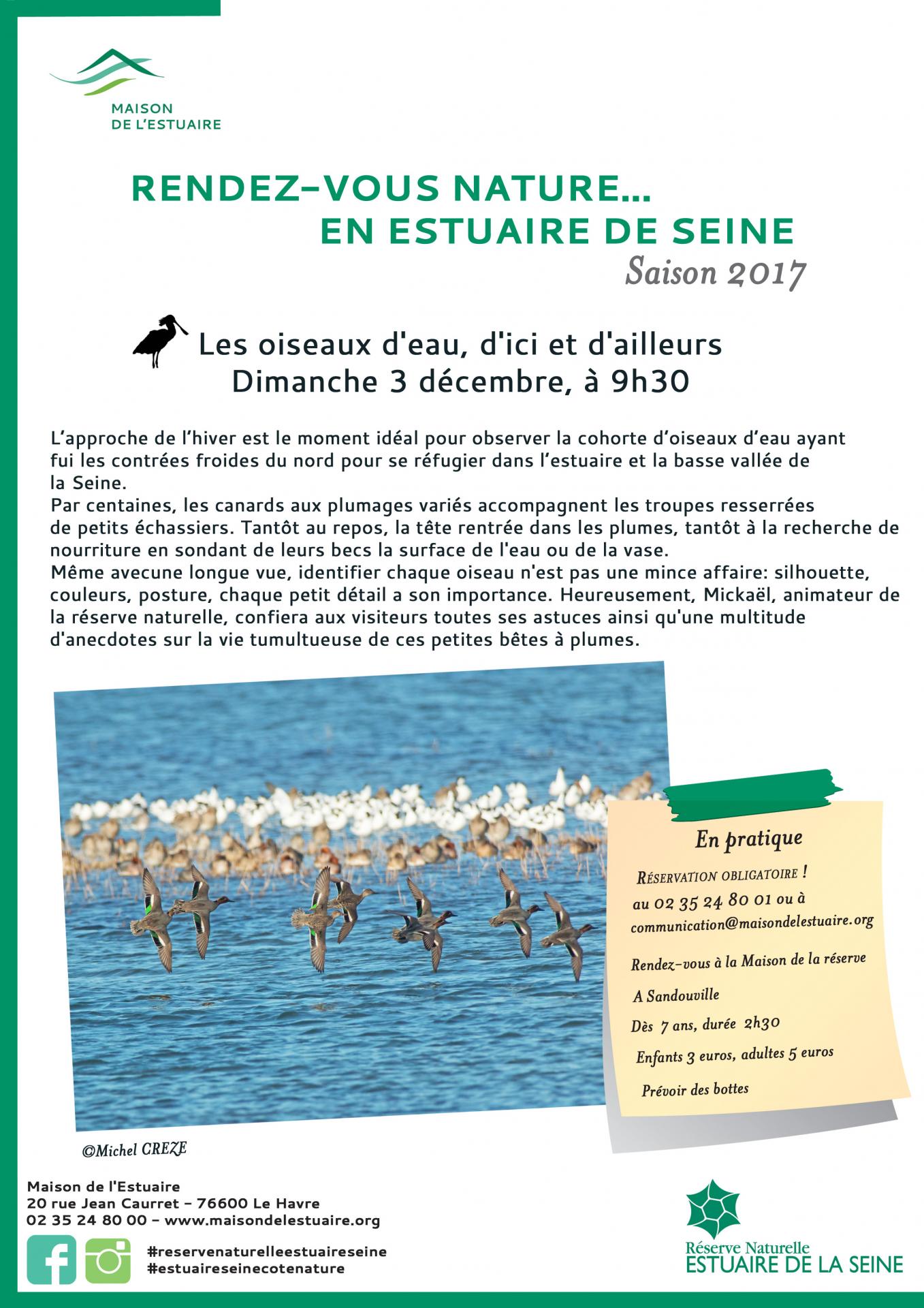 Cp animation oiseaux eau 2017 12